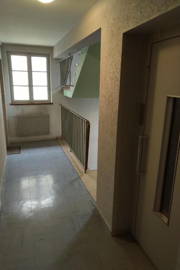 Appartement Spacieux Et Cosy - Strasbourg Centre Eksteriør bilde