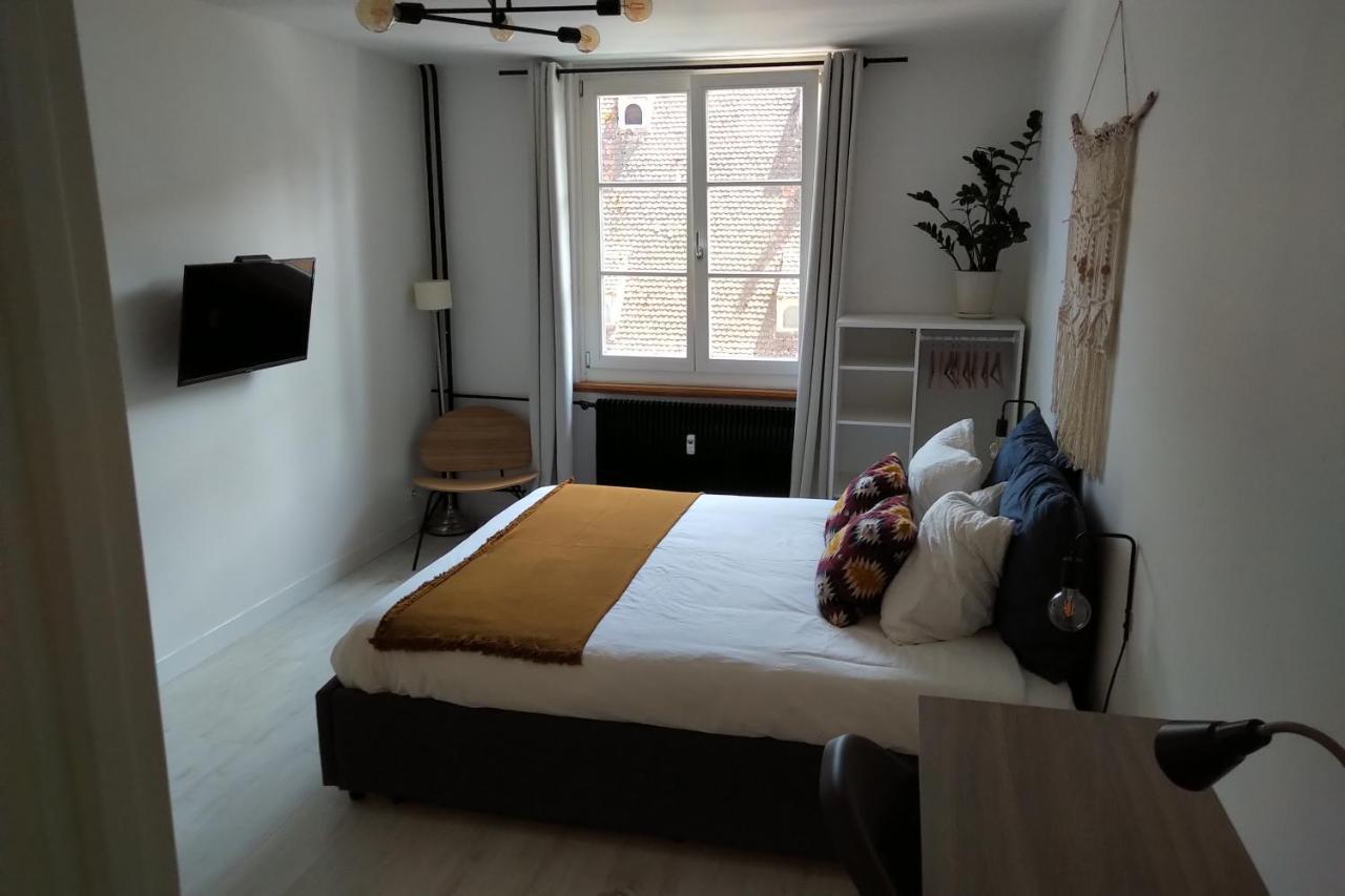 Appartement Spacieux Et Cosy - Strasbourg Centre Eksteriør bilde